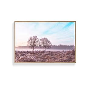Framed Canvas Wall Art for Living Room, Bedroom Pink Beautiful Froest Canvas Prints for Home Decoration Ready to Hanging - 16x24 inches