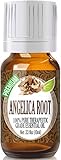 Angelica Root 100% Pure, Best Therapeutic Grade Essential Oil - 10ml