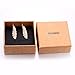 Antique Gold Silver Autumn Leaves Feather Drop Earring (D)