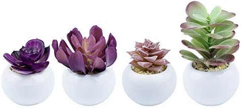 Dream Allison 4 PCS Artificial Succulent Plants, Mini-Sized Assorted Fake Succulent Potted with White Ceramic Potted for Home Bath Office Shelf Decoration