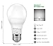 MINGER LED Dusk to Dawn Lights Bulb 13.5W Sensor Light Bulbs with photocell, A20 100W Equivelent Automatic Indoor/Outdoor Lighting Lamp for Porch, Hallway, Patio, Garage (E26/E27, 1200lumen, 6000K) 2P