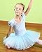 BAOHULU Girls Leotards Ballet Dance Skirted Tutu Dress Short Sleeve Jewels Dancewear