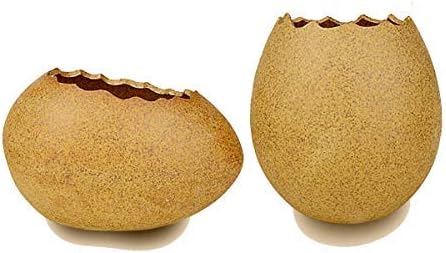 Ceramic Planters, Succulent Planters Cactus Flower Plant Pot/Container Mini Succulent Plant Pots with Cute Eggs Design – Set of 2
