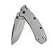 Kershaw Cryo Folding Knife (1555TI); 2.75" 8Cr13MoV Steel Blade, Stainless Steel Handle, Titanium Carbo-Nitride Coating, SpeedSafe Assisted Open, Frame Lock, 4-Position Deep-Carry Pocketclip; 4.1 OZ primary