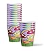 Fairy Garden Birthday Party Supplies Set Plates Napkins Cups Tableware Kit for 16
