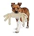 PetSafe Pogo Plush Toys - Durable Squeaker Dog Toy Without Stuffing