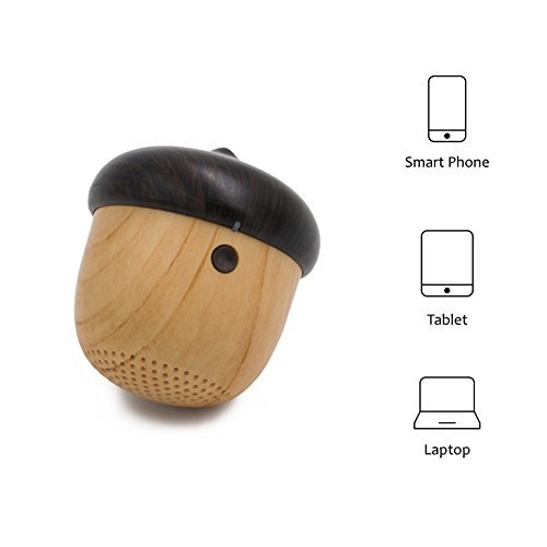 Zebra Zone Super Tiny Portable Bluetooth Speaker 30-Feet Wireless Range with Mic