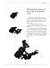 The Beginner's Guide to Chinese Painting: Flowers