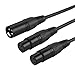 CableCreation Balanced XLR Splitter 1.0 ft, 2 X L R Female to X LR Male, 3Pin Microphone Y Cord Mic Split 1 Male to 2 Female Patch Cable,Black