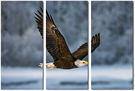 OYEO Canvas Art Bald Eagle In Flight Usa. Alaska Chilkat River An Excellent Illustration The Picture Print On Canvas Animal Pictures For Home Decor Decoration Gift