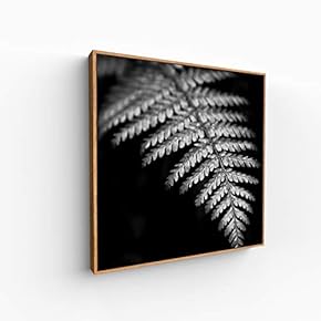 Canvas Wall Art for Living Room, Bedroom Monochrome Image Framed Canvas Prints for Home Decoration Ready to Hang - 16x16 inches