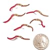 Trout-Nymph-Fly-San-Juan-Worm-Power-Bead-12-Dozen-BrownRed-10-Set-of-6-Nymph-Wet-Flies