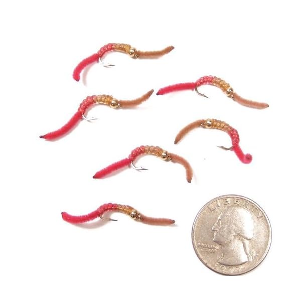 Trout-Nymph-Fly-San-Juan-Worm-Power-Bead-12-Dozen-BrownRed-10-Set-of-6-Nymph-Wet-Flies