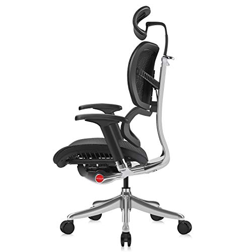 MOOJIRS Ergonomic Office Chair with Headrest Adj and Tilt Limiter|Backrest Height Adj|Seat Depth Adj|3-Dimensional Dynamic Backrest and Lumbar Support|Aluminum Frame/with Standard Carpet Casters