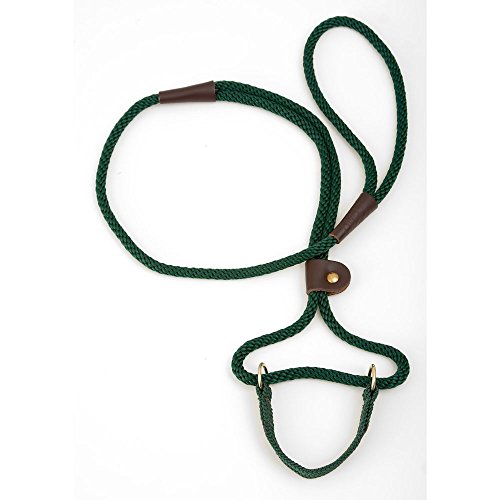 Mendota Dog Walker 3/8" X 6' - Hunter Green