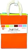 Colorbok 36240 Fashion Colors Large Craft Bags (13)