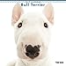 The Dog Wall Calendar 2019 Bull Terrier