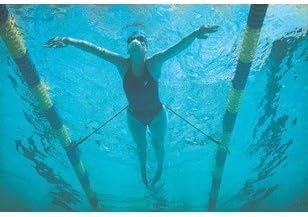 StretchCordz Stationary Swim Trainer, Green