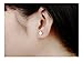 M&T 2015 14K Rose Gold Plated Stainless Steel Stud Earring, A Pair Square Tiny 5mm Stud Earrings Ge313