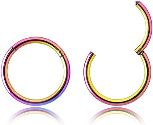 Fystir 18g 5/16" Nose Ring Cartilage Earring Hoop Earrings Stainless Steel 8mm Hinged Hoops Seamless Ring (Colored)