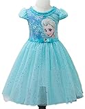 Eyekepper Kids Children Girls Cartoon Elsa Princess Cosplay Mesh Bubble Dress