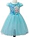 Eyekepper Kids Children Girls Cartoon Elsa Princess Cosplay Mesh Bubble Dress