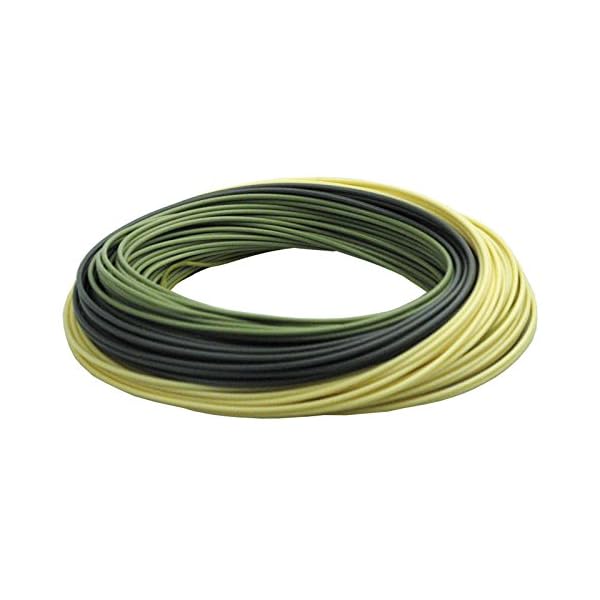 RIO-InTouch-Trout-LT-DT-Fly-Line