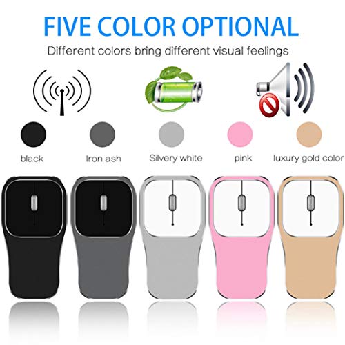 Aobiny Wireless Gaming Mouse,2.4G Wireless Mute Metal Roller Rechargeable Ergonomic Gaming Mouse, DPI Third Gear Selection 800DPI-1200DPI-1600DPI, MMO PC Gaming Mouse for Laptop (Gray)