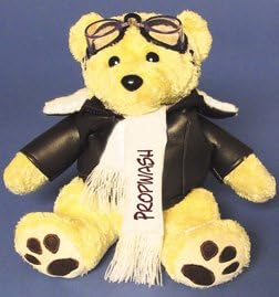 Propwash Teddy Bear