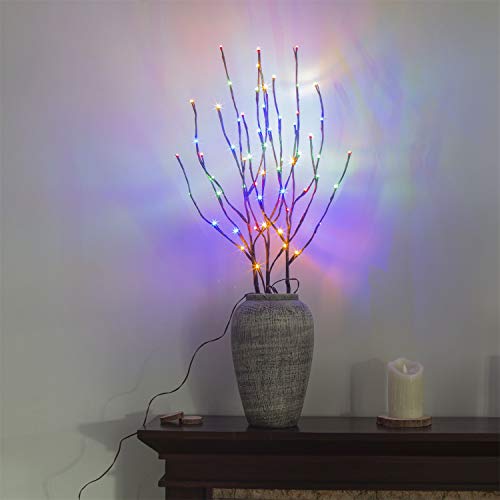 PEIDUO Electric Lighted Willow Branch Plug 30Inch 3PK 60L LED Pathway