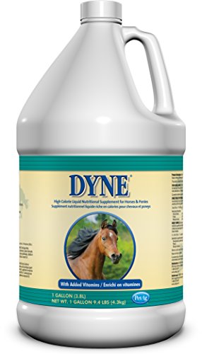 Dyne high calorie liquid for horses, 1 gallon