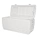 Igloo Quick and Cool 100 Qt. Cooler