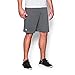 Under Armour Raid Team Men's Shorts (Graphite