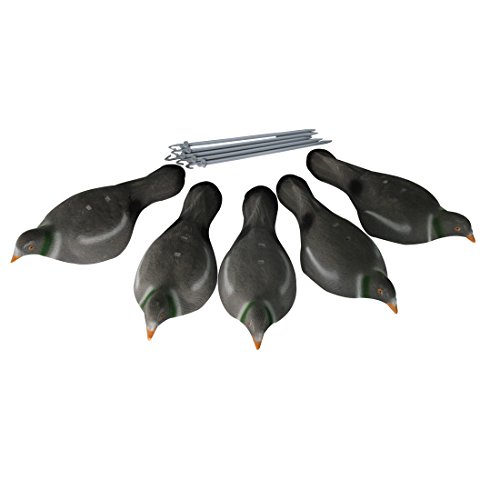 Best Dove & Pigeon Decoys for Hunting & Pest Control Mojo Voodoo