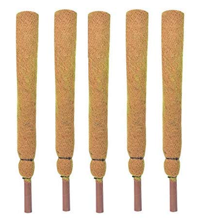 COIR GARDEN Coir Moss Stick/Coco Pole for Climbing Money Plants, Indoor and Outdoor Plants, 2.5 ft, 76 cm - Set of 5