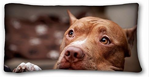 Elroy Carpenter Animals Dog Eyes Pitbull Muzzle Throw Pillow Case Cushion Covers 20X36 Inch
