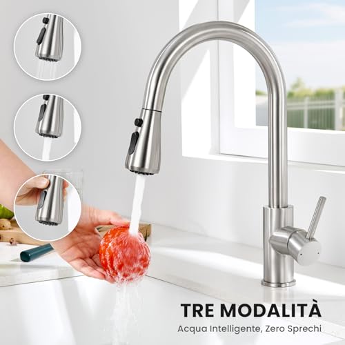 CECIPA Kitchen Sink Tap with 2 Types of Modes, Kitchen Mixer with Pull-Out Shower 40 cm, Stainless Steel Tap with Pull-Out Shower, 360° Swivel Mixer Tap