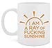 TheMugStore I'm A Ray Of Fucking Sunshine - 13 Oz White Ceramic Glossy Mug With Large C-handle (Microwave and Dishwasher Safe)