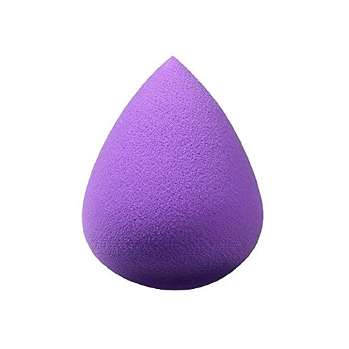 Bh Studio Pro Blending Sponge