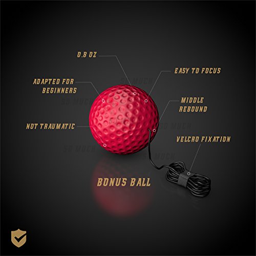 image for SO MUCH Fight Reflex Ball Set, with Headband & 2 Complexity Balls, Spe