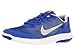Nike Kids Flex Experience 4 (GS) Running Shoe