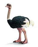 Schleich Ostrich