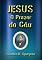 Livro Jesus, O Prazer Do Céu