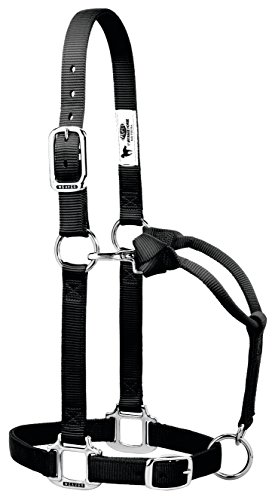 Weaver Leather 35-7375-BK Original Adjustable Nylon Halter with Chrome Plated Hardware, Black, 1″ Average Horse