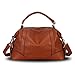 Hynes Victory Womens Luxury Hobo Handbag (Brown2)