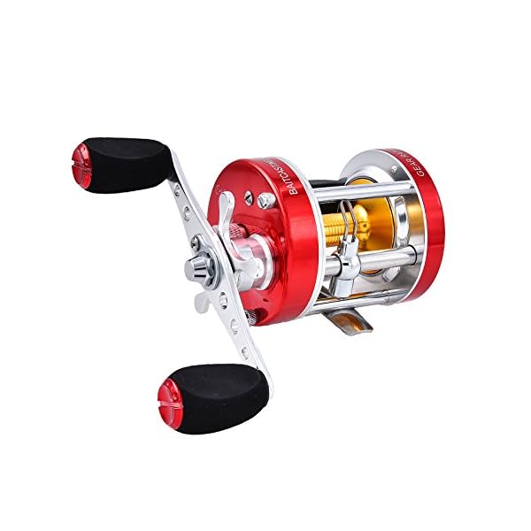KastKing-Rover-Round-Baitcasting-Reel-No-1-Rated-Conventional-Reel-Carbon-Fiber-Star-Drag-Reinforced-Metal-Body-2016-Rover-RXA-Conventional-Reel-Inshore-and-Offshore-Saltwater-and-Freshwater-Reel-Awar