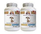 Liver Support for Dogs - Immune Support and Health