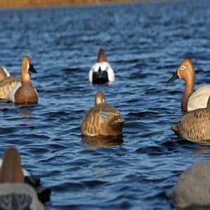 Greenhead Gear Pro-Grade Duck Decoy,Redhead Sleeper Pack,1/2 Dozen