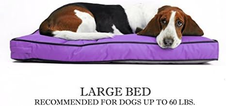 Venus Rectangle Pet Bed For Large Dog - Replaceable Waterproof Durable Washable Cover - 27"x36" - Buffer Liner (Purple)