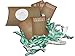 Jeune Marie Ribbon (12 Pack, Mint)